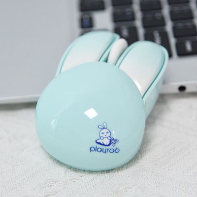 rabbit mouse