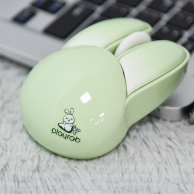 rabbit mouse