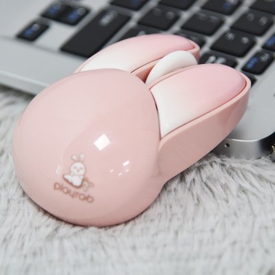 rabbit mouse