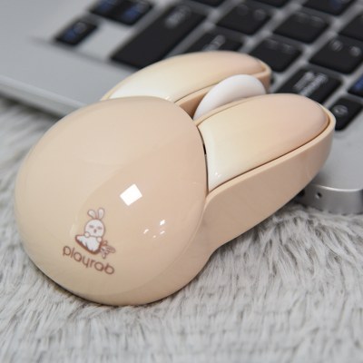 rabbit mouse