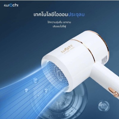 IWACHI hair dryer รุ่น GY-6688