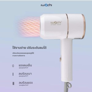 IWACHI hair dryer รุ่น GY-6688