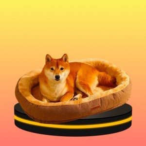 ที่นอนสำหรับสัตว์เลี้ยง มินิมอล นุ่ม สบาย