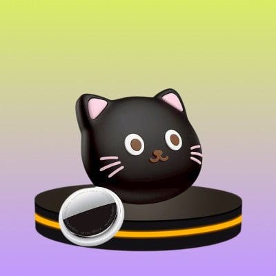 เครื่องมือติดตาม GPS HOCO E91D Smart Tag สำหรับสัตว์เลี้ยง สีดำ