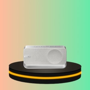 Bose ลำโพง Soundlink Home Bluetooth Speaker (สี Light Silver)