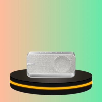 Bose ลำโพง Soundlink Home Bluetooth Speaker (สี Light Silver)